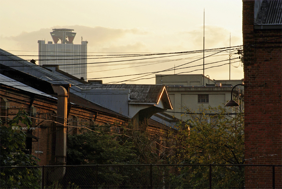 c0121738_81489.jpg