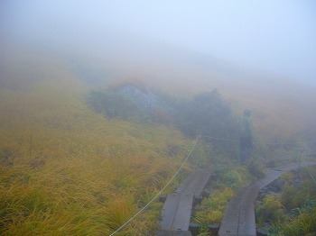 f0065941_22275839.jpg