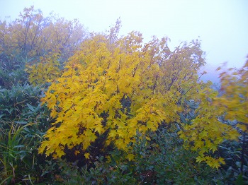 f0065941_22292470.jpg
