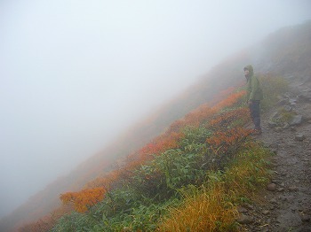 f0065941_22322344.jpg
