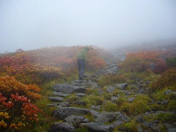f0065941_223279.jpg