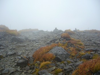 f0065941_2234354.jpg