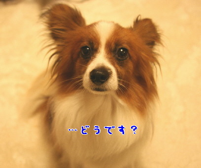 d0013149_10102416.jpg