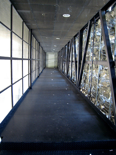 d0079151_20782.jpg