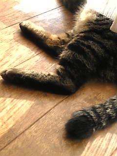 c0069552_1712125.jpg