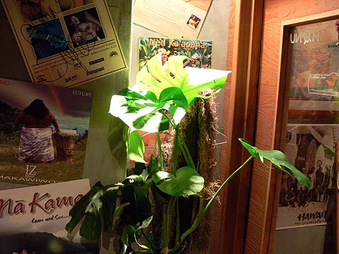e0050753_2394340.jpg