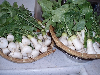 e0004756_2025530.jpg