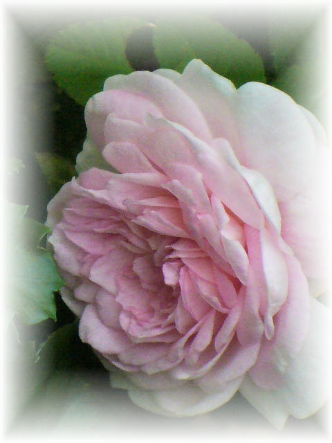 f0074659_20294743.jpg