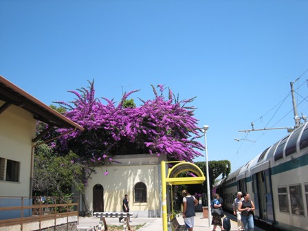e0000266_17564093.jpg