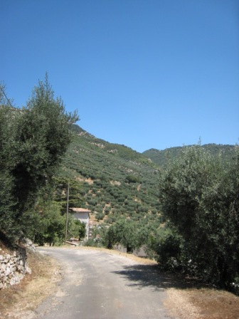 e0000266_1872622.jpg
