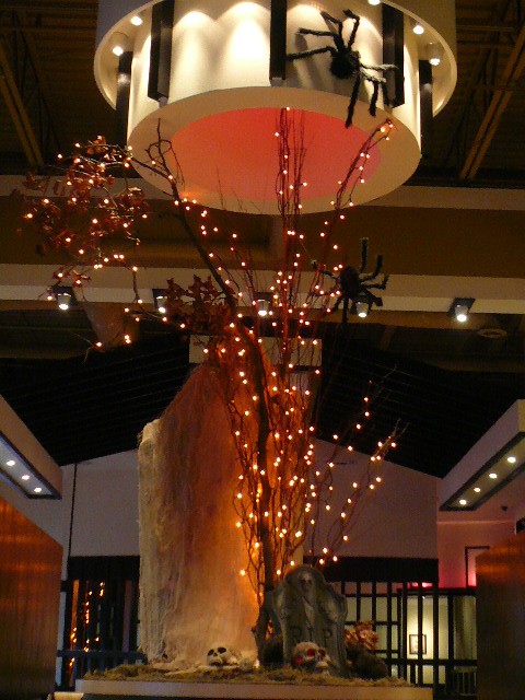 a0100975_9581046.jpg