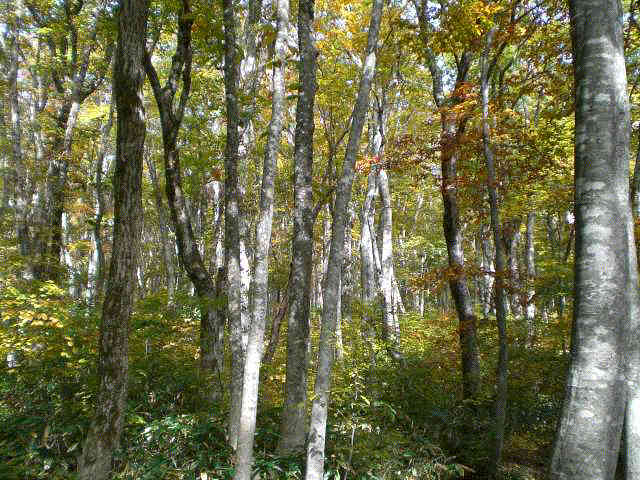 f0153475_21145187.jpg