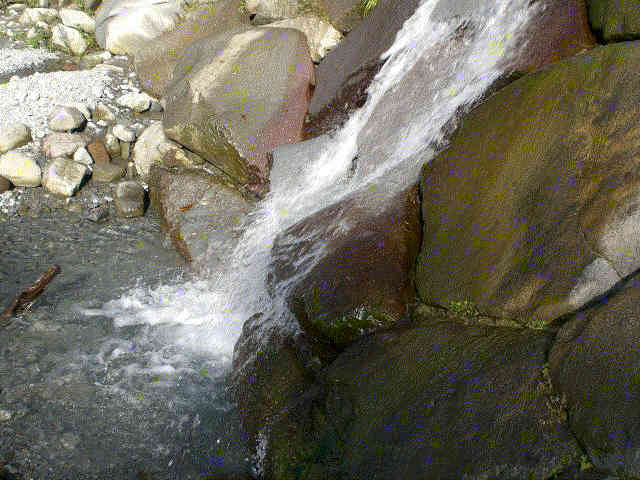 f0153475_21194539.jpg
