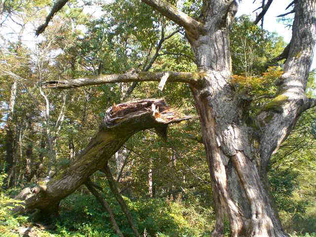 f0153475_2122616.jpg