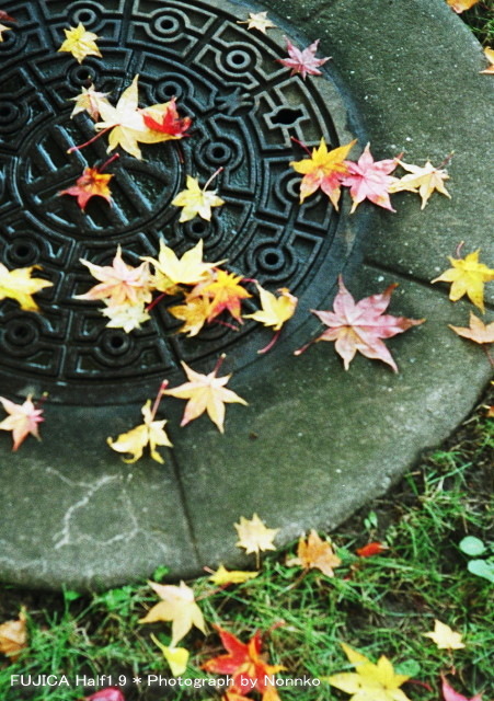 c0106977_13125240.jpg