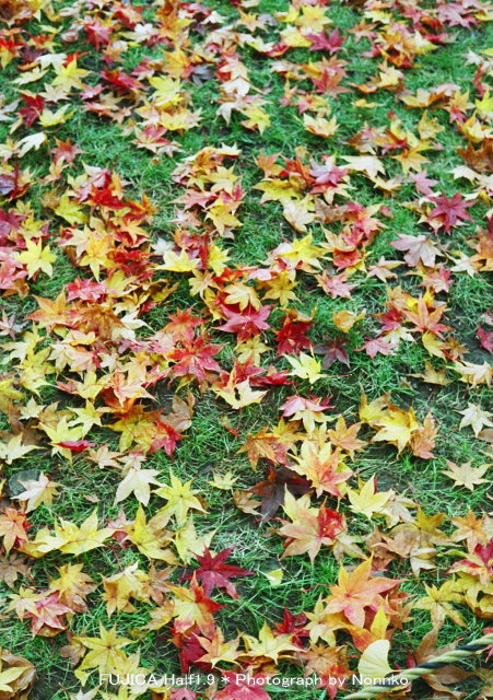 c0106977_13131517.jpg