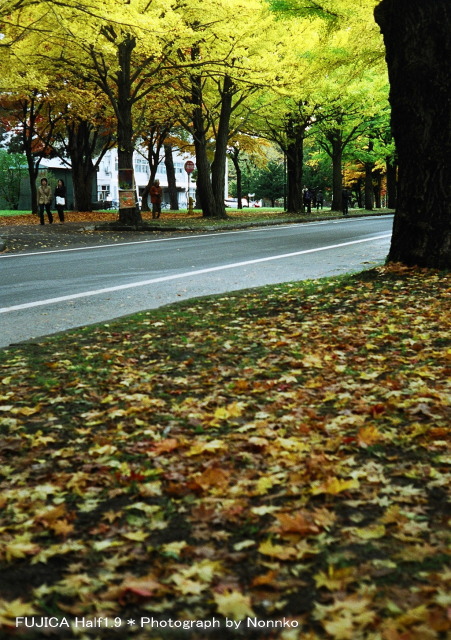 c0106977_13141444.jpg