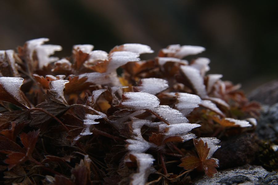 d0037282_228112.jpg