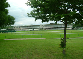 b0034089_12282081.jpg