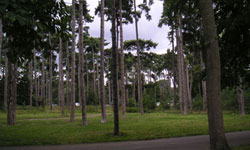 b0034089_1230386.jpg