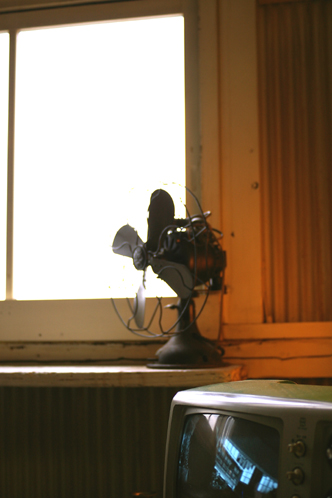 b0080789_145587.jpg