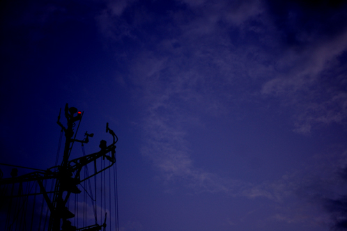 b0080789_21154310.jpg