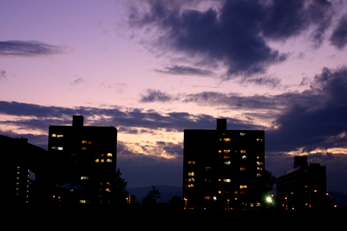 b0080789_2116314.jpg