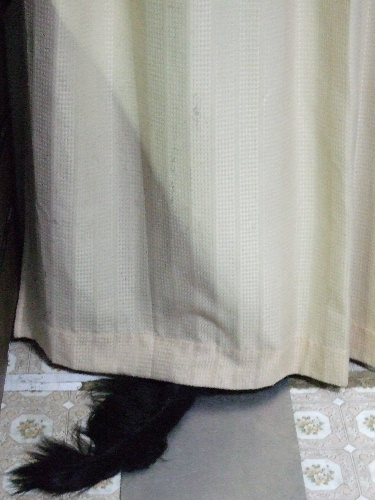 d0070289_20484315.jpg