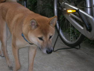 c0123890_20255049.jpg