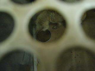 e0002891_20252844.jpg
