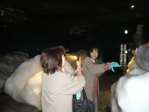f0029393_4293997.jpg