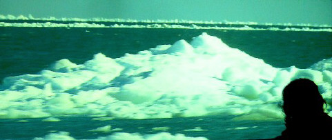 f0029393_4295569.jpg