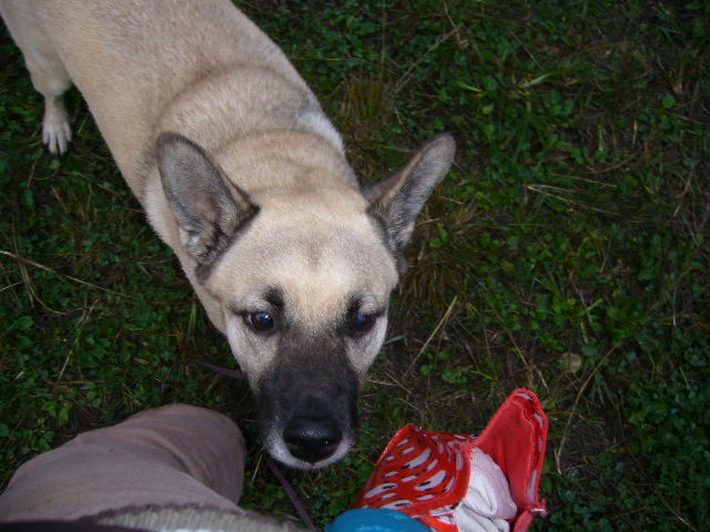 d0070702_881968.jpg