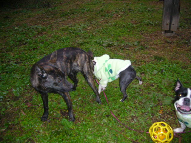 d0070702_883260.jpg
