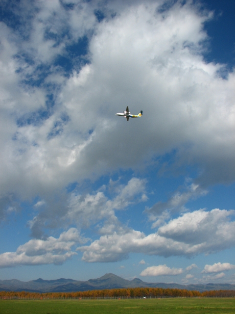 f0020302_21521946.jpg