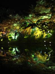 e0099409_2132066.jpg