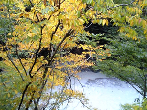e0095517_21261688.jpg