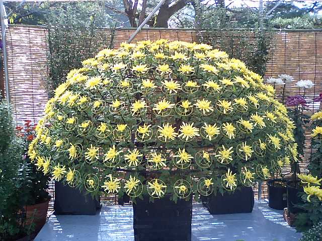 e0123920_12271358.jpg