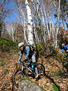 d0023725_9501518.jpg