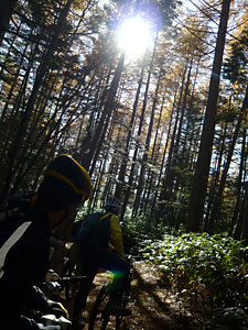d0023725_950448.jpg