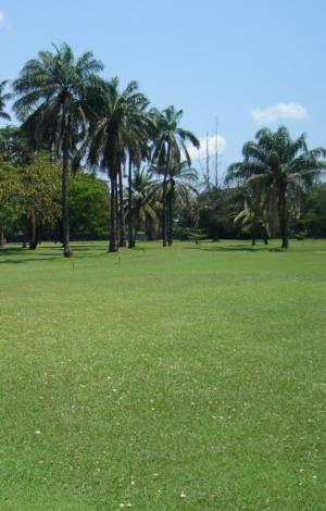 f0132327_1639145.jpg