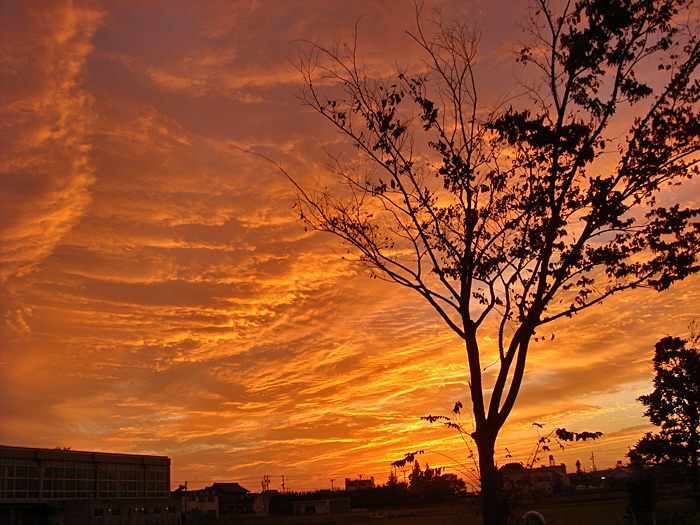 e0025930_20502186.jpg