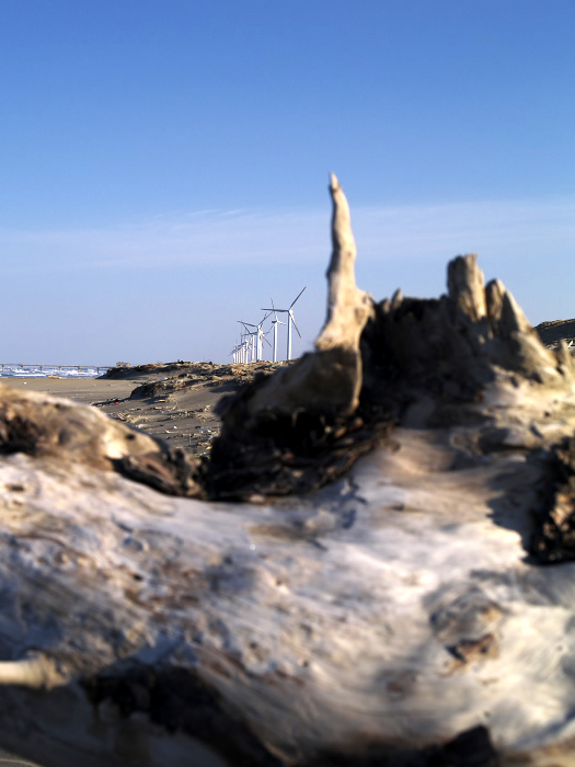 c0116732_2045275.jpg