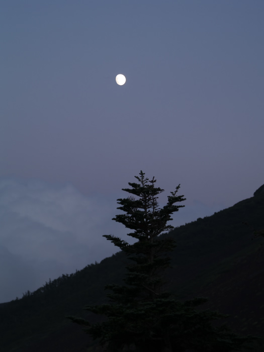 c0116732_2051227.jpg
