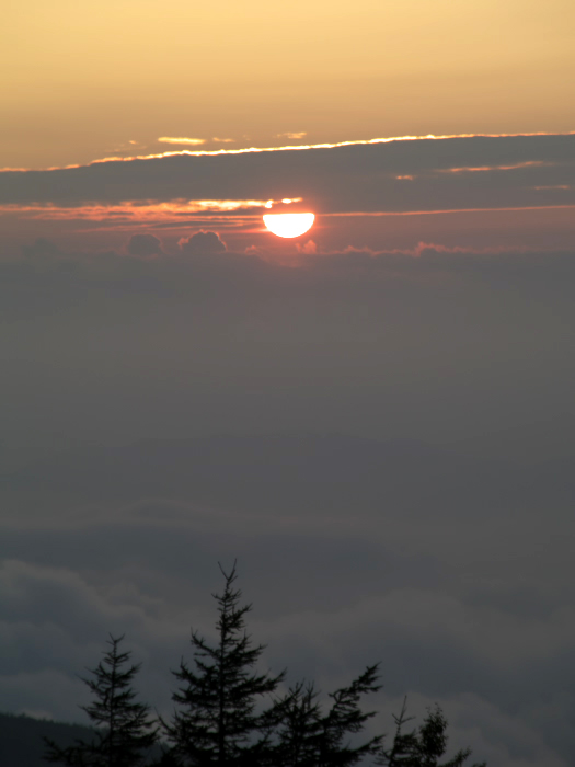 c0116732_2051963.jpg