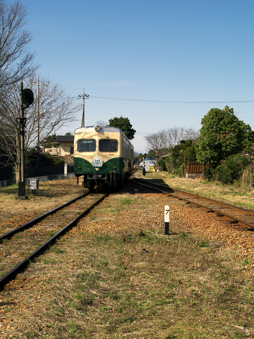 c0116732_2061027.jpg