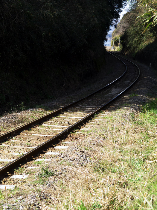 c0116732_2081556.jpg