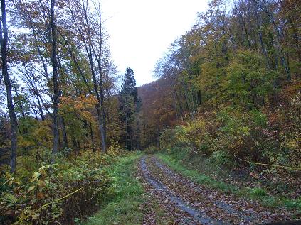 f0118332_16335775.jpg