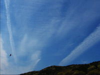 c0143338_102428.jpg