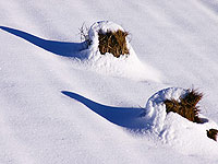 c0143338_11282996.jpg